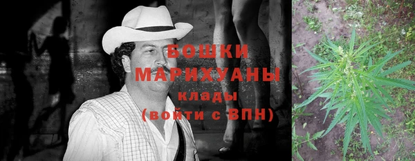 ПСИЛОЦИБИНОВЫЕ ГРИБЫ Белокуриха