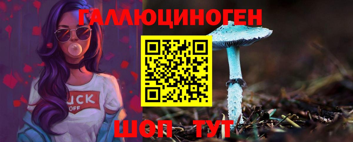 Улан-Удэ  Галлюциногенные грибы прущие грибы  как найти наркотики  Псилоцибиновые грибы Psilocybe  Вход с VPN 